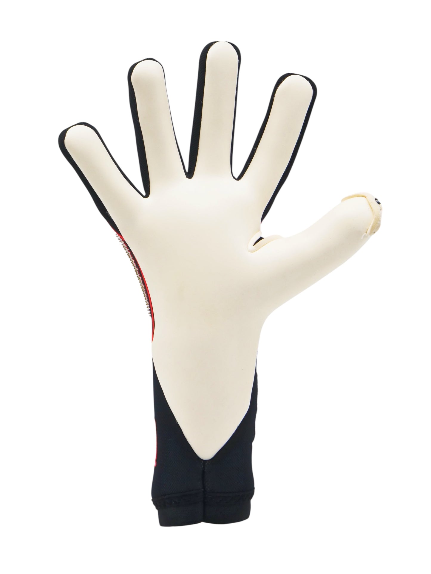 TORIDE 25-26 LIMITED EDITION